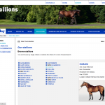 When users hover on a stallion's name, the panel shows its details